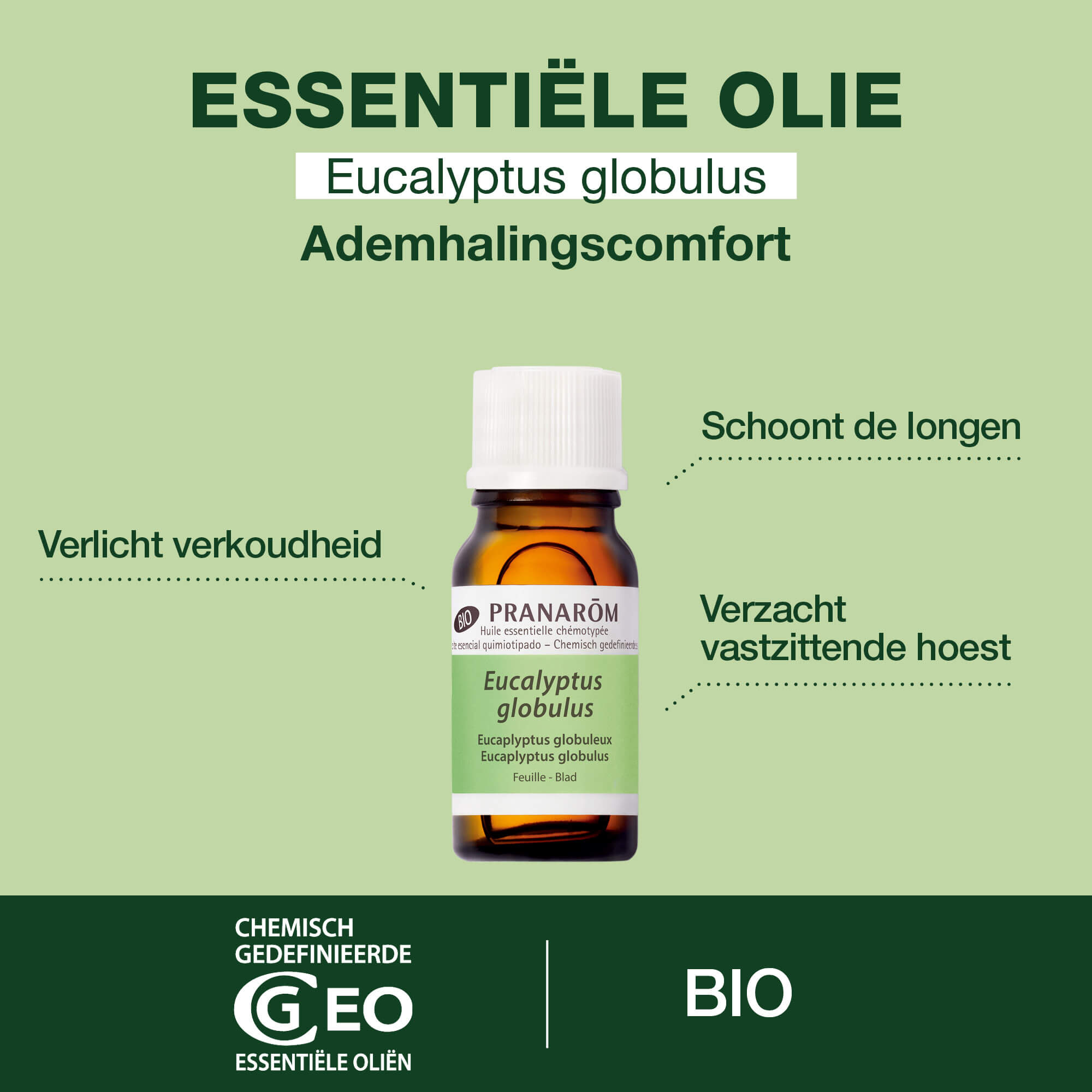 Eucalyptus Globose etherische olie - Bio