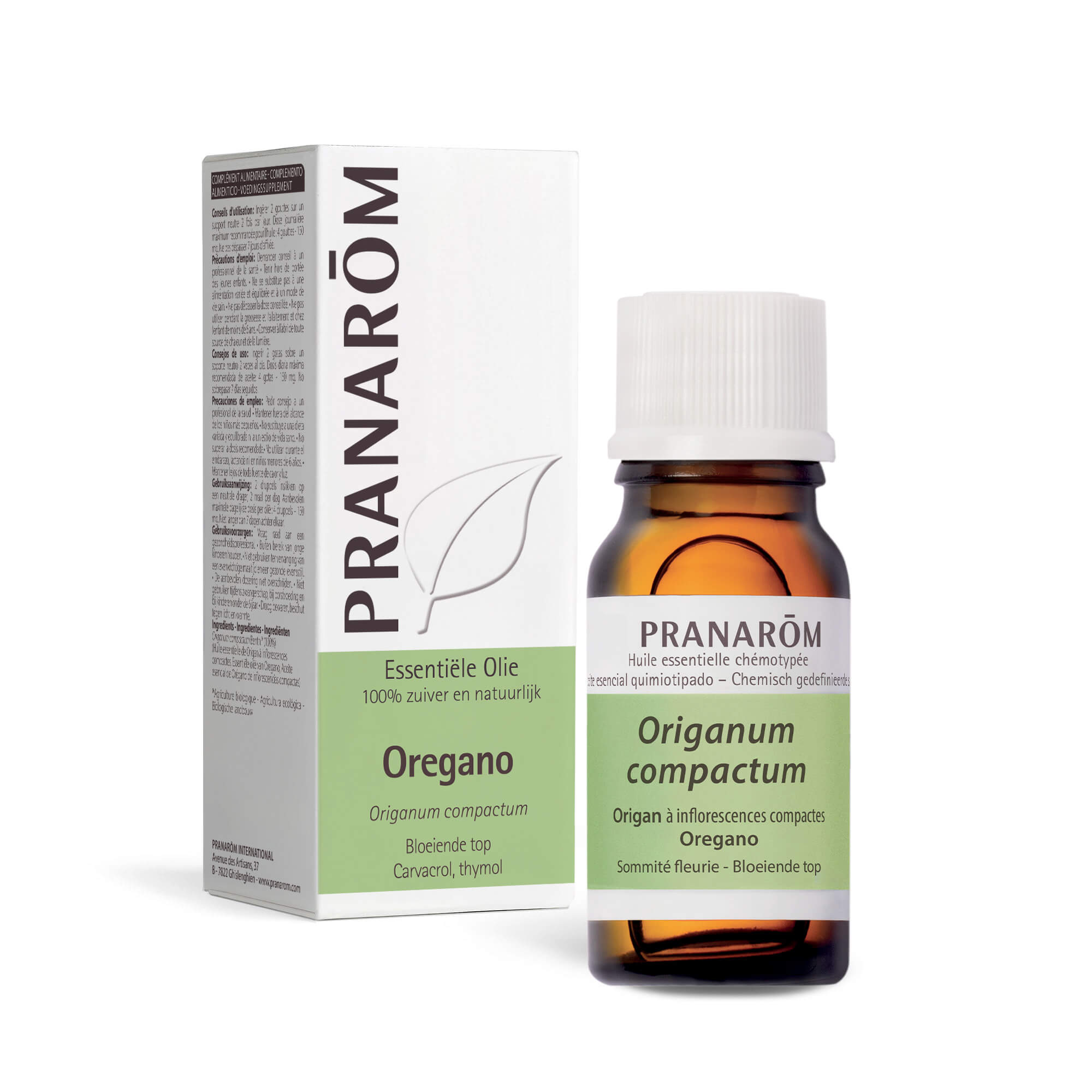 Oregano met compacte bloeiwijzen