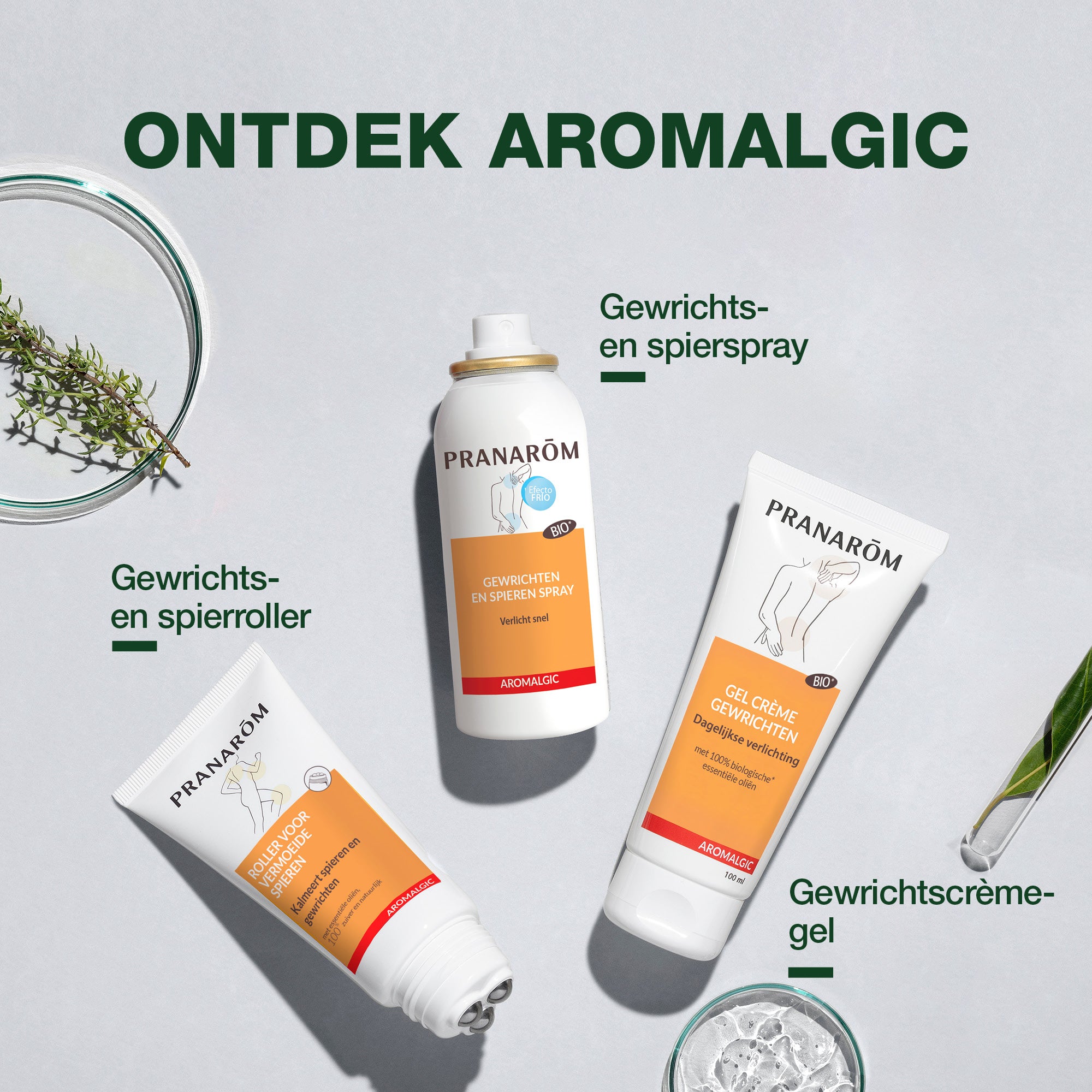 Aromaflex Forte - Spier Tabletten