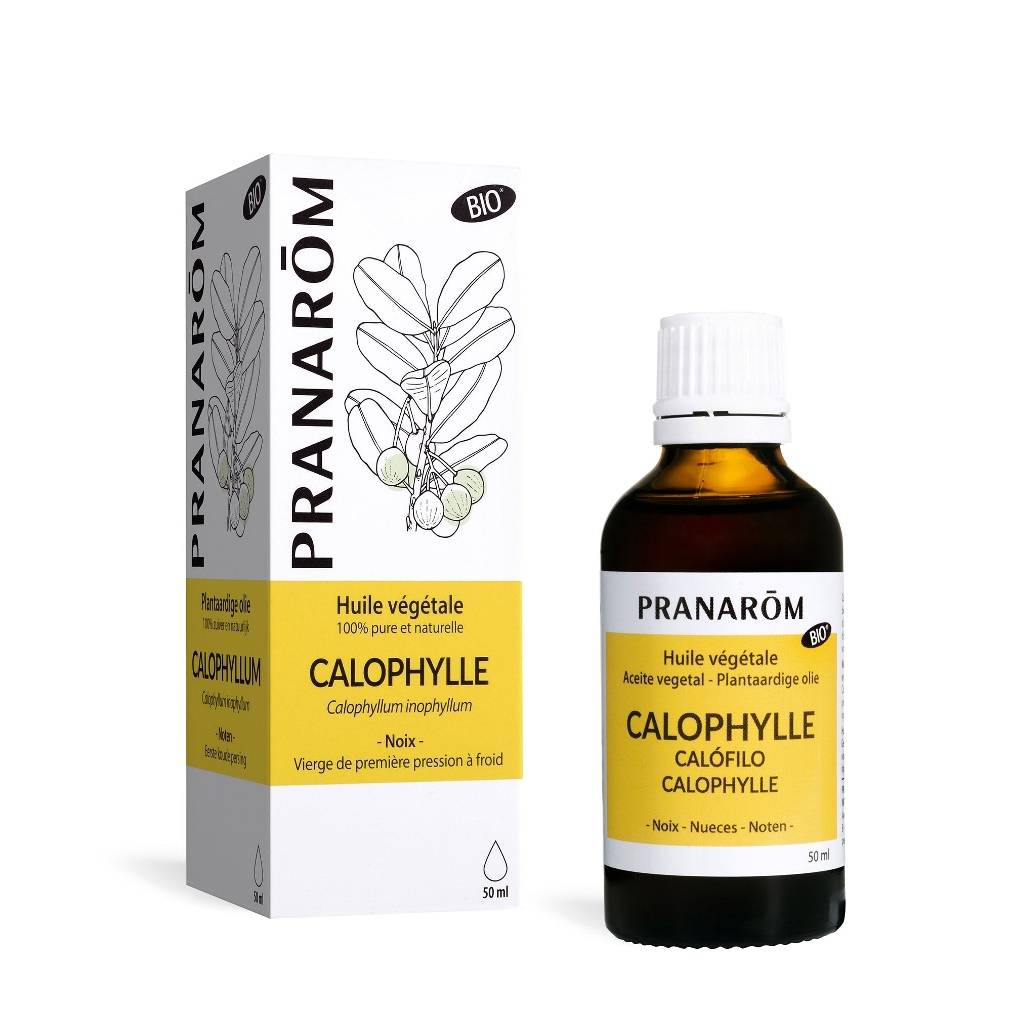 Calophyllus plantaardige olie - Bio