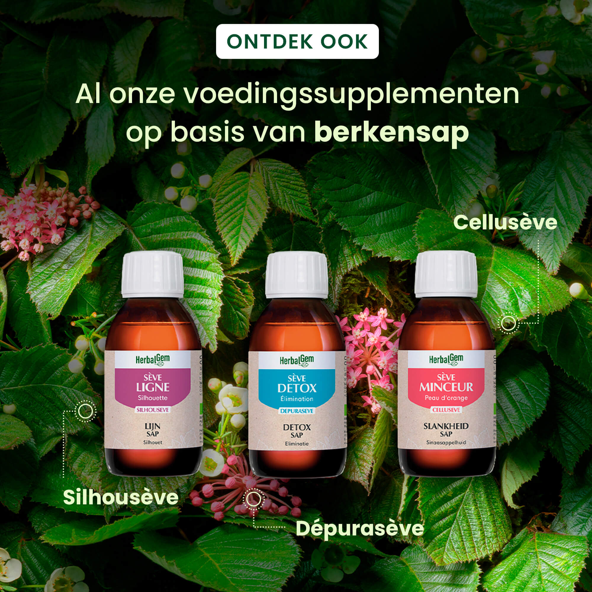 Afslankend sap - Bio