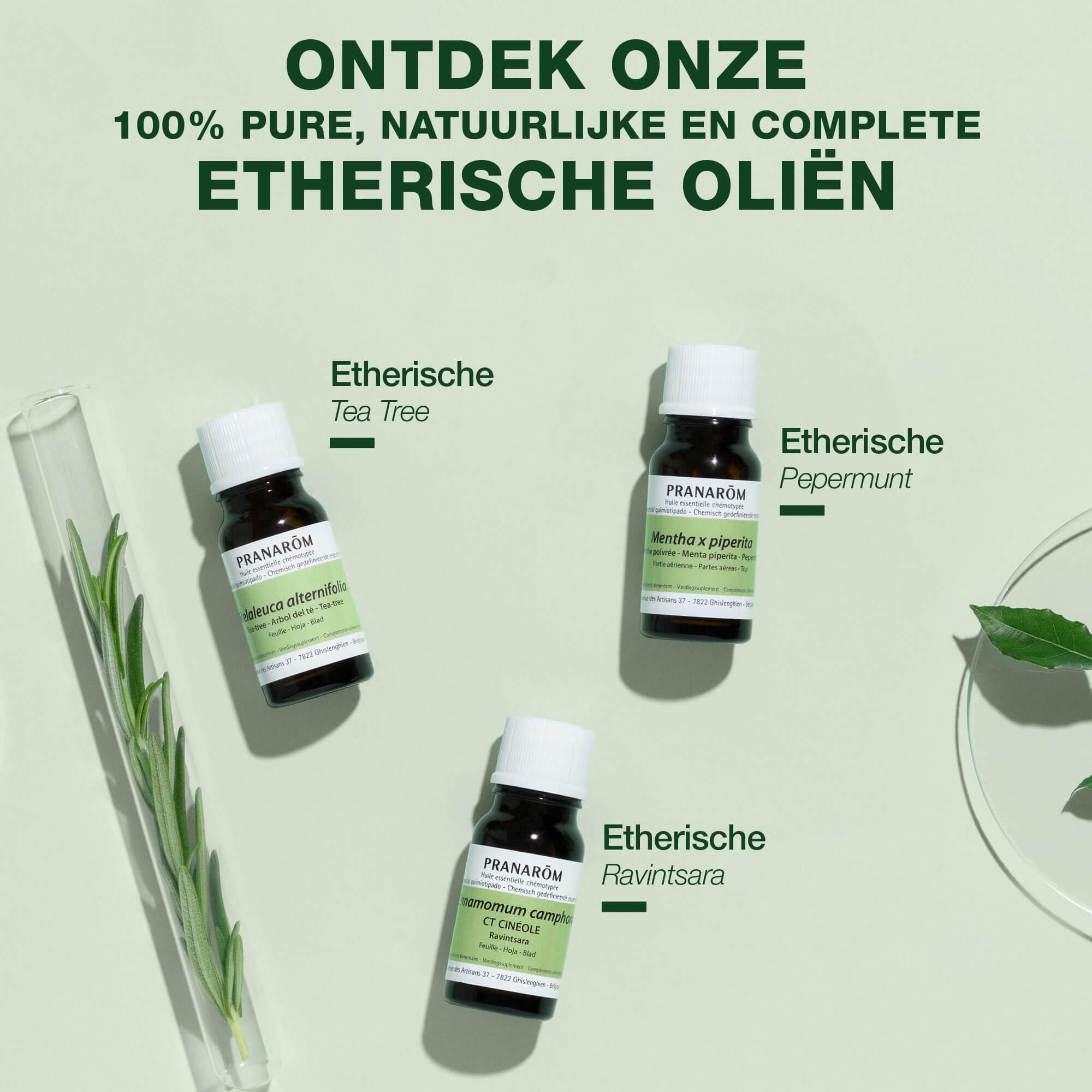 Elemi etherische olie