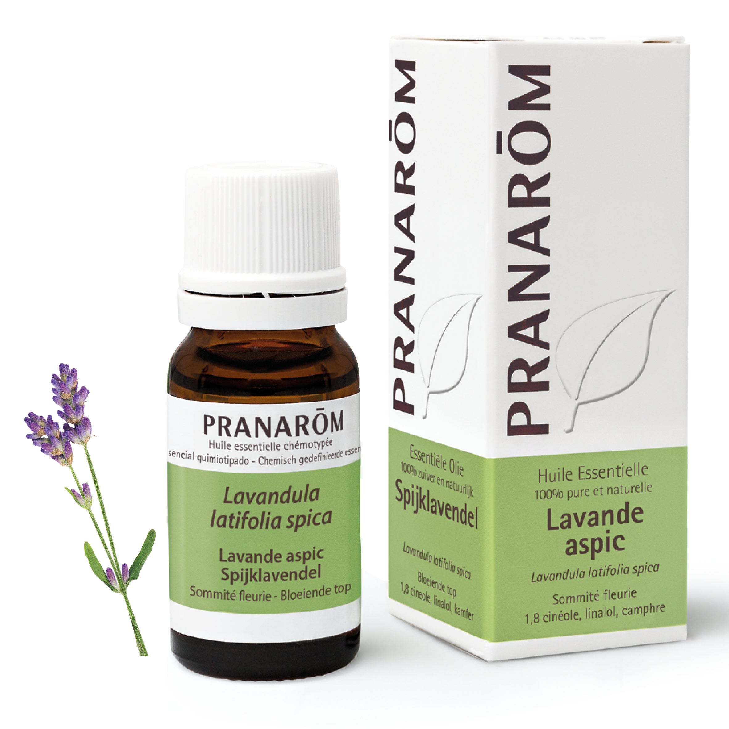 Lavendel Aspic etherische olie
