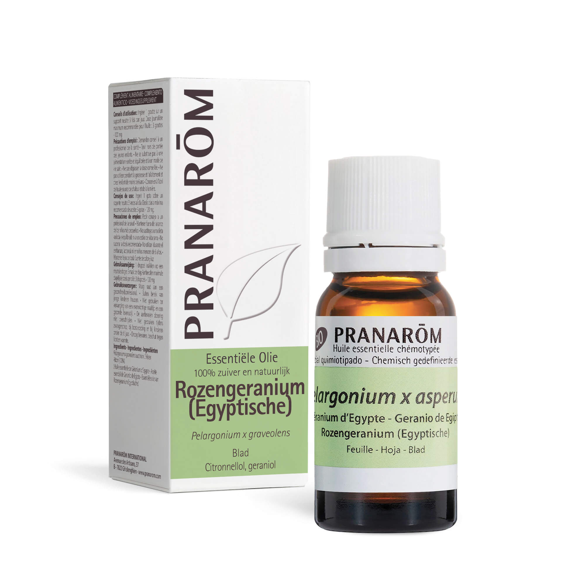 Egyptische Geranium etherische olie