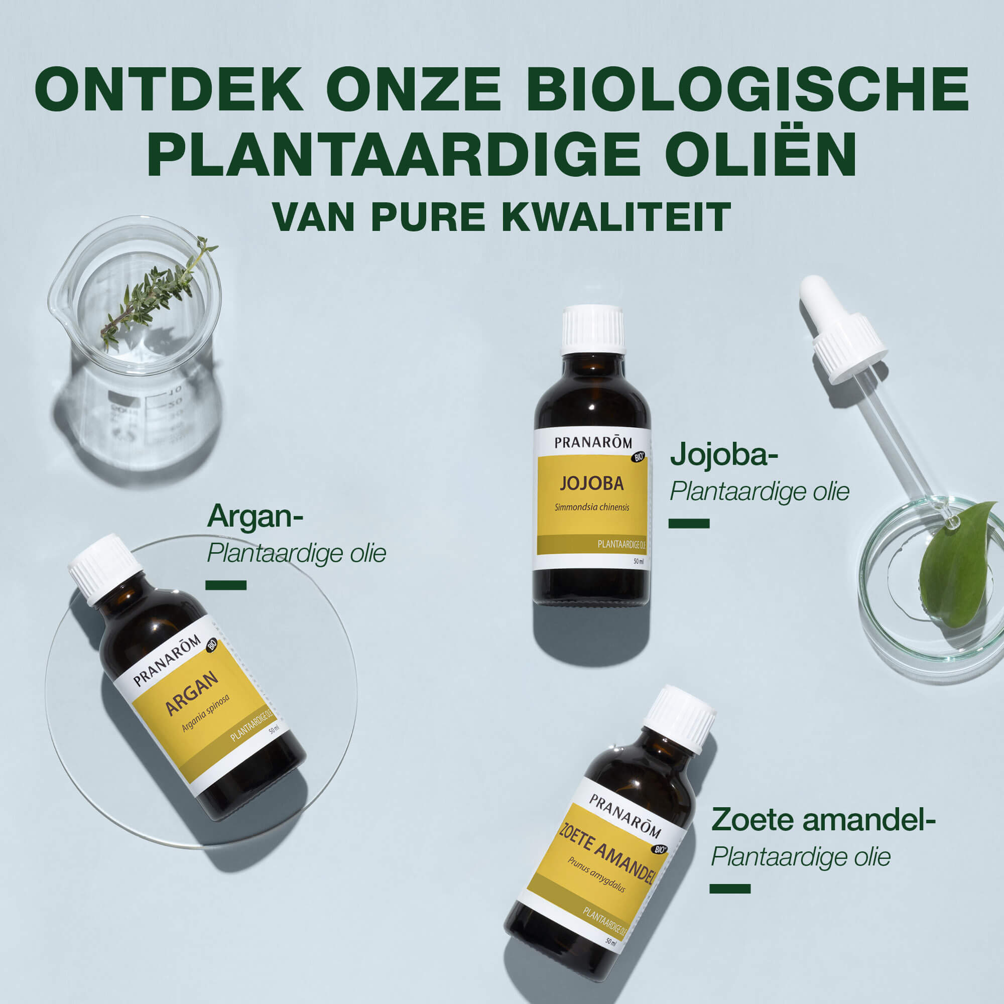 Wortel Plantaardige Olie - Bio