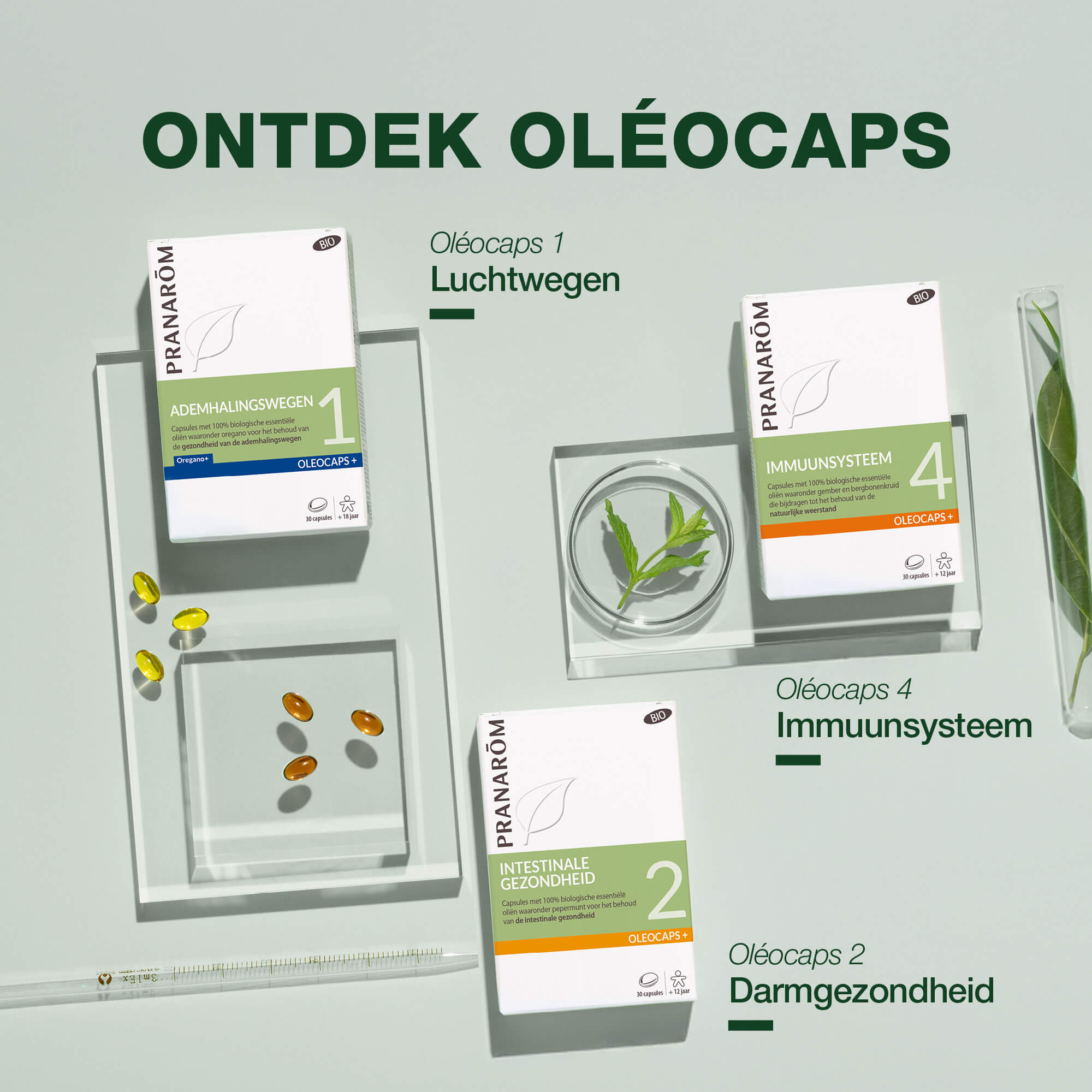 Oleocaps 4 - Capsules voor het immuunsysteem - Bio